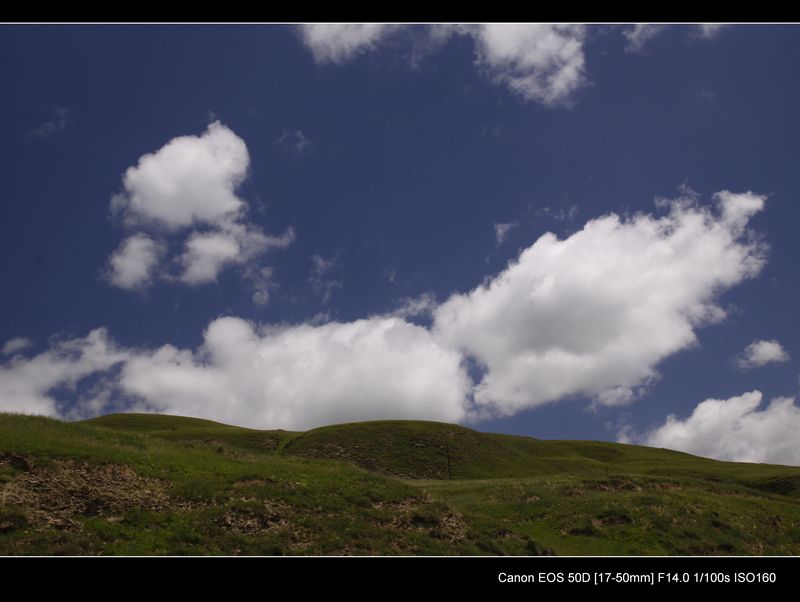 _MG_9310.jpg