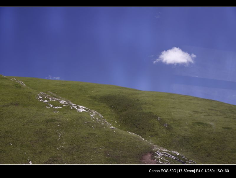 _MG_9339.jpg