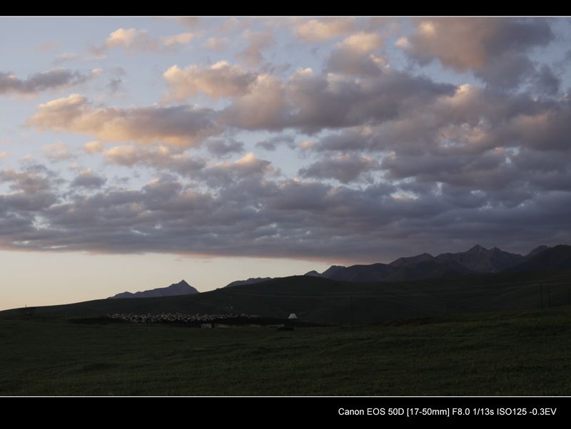 _MG_94561.jpg