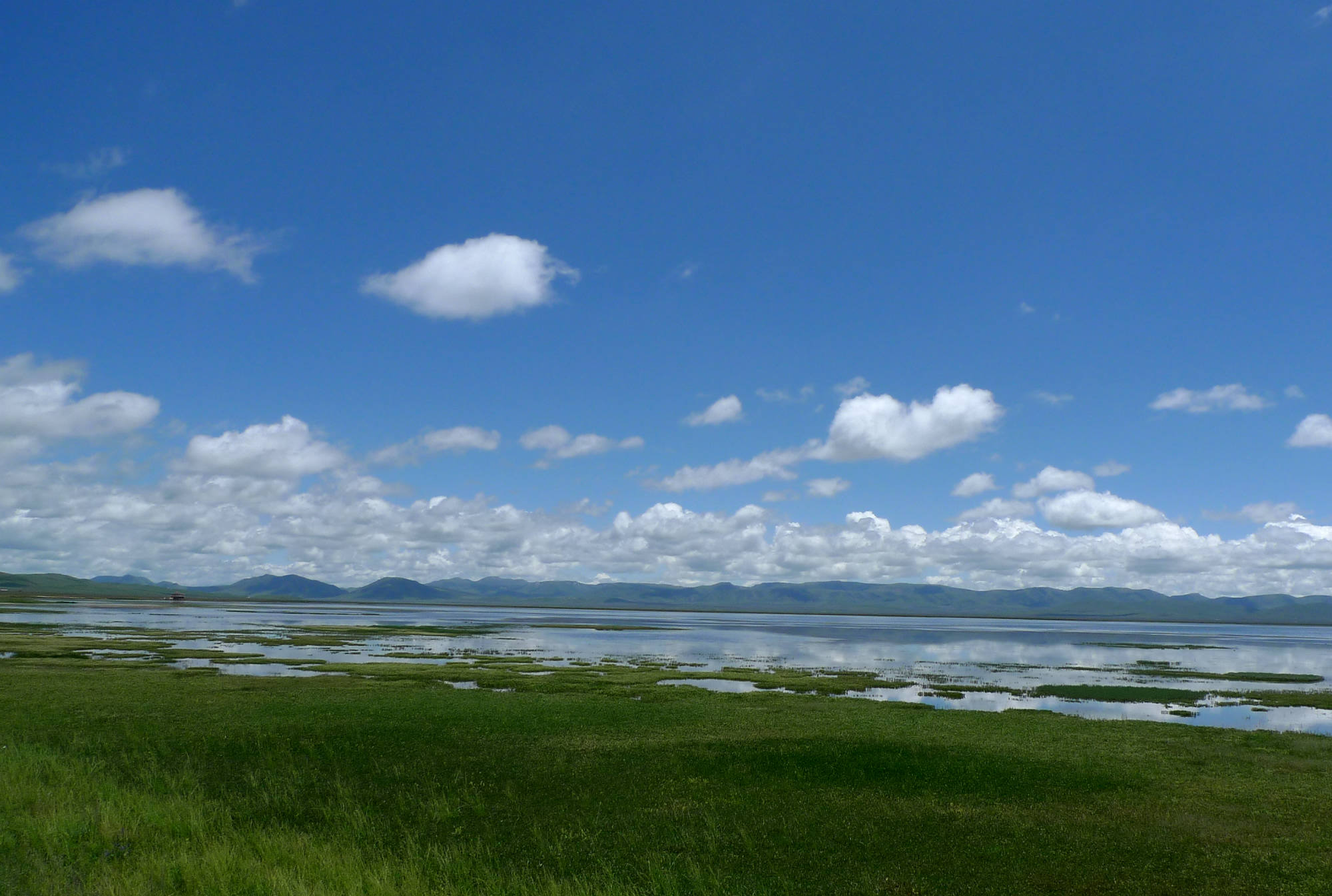 P1050743.jpg