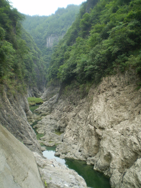 P1010487.JPG