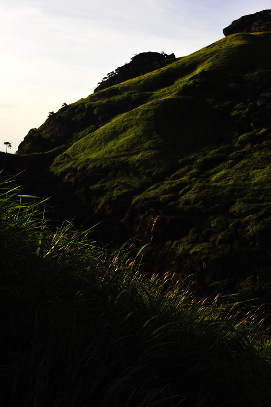 _DSC0073.jpg