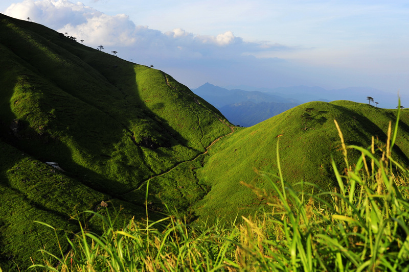_DSC0092.jpg