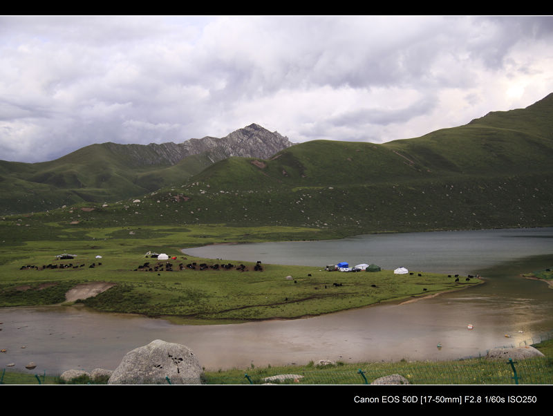 _MG_99431.jpg