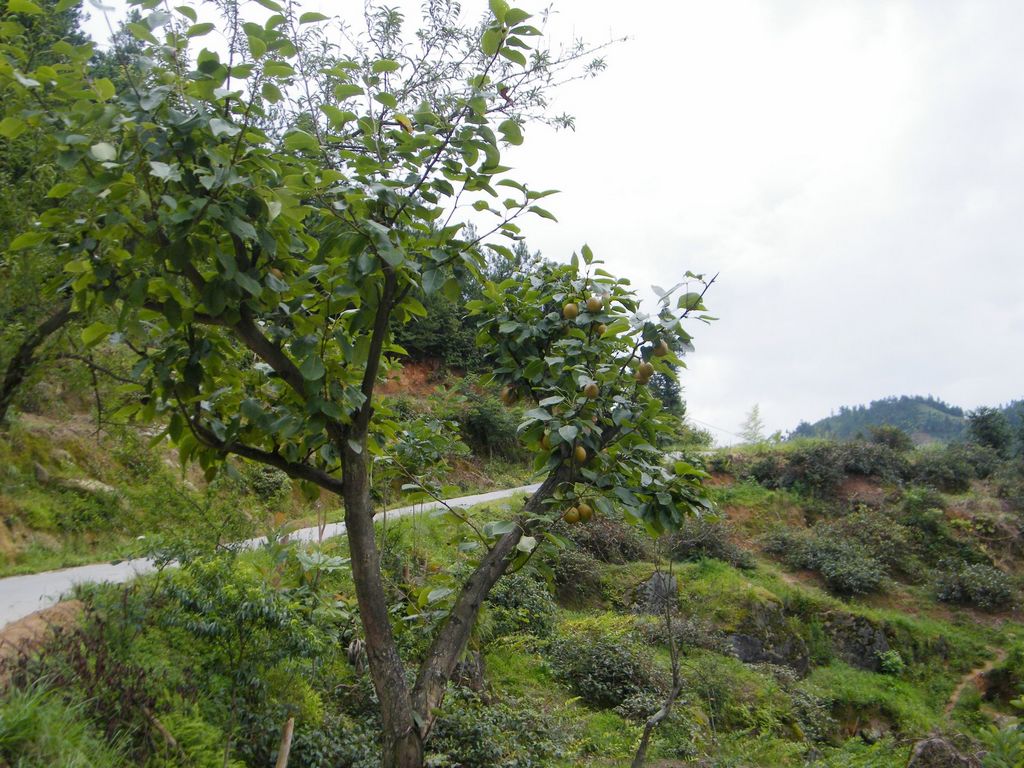 DSCF0205.JPG