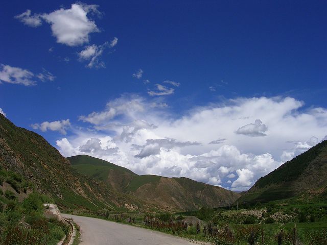DSCN8825.JPG