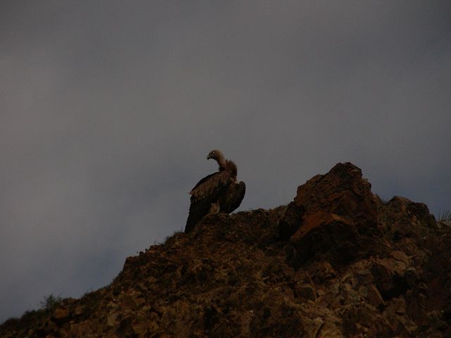 DSCN0725.JPG