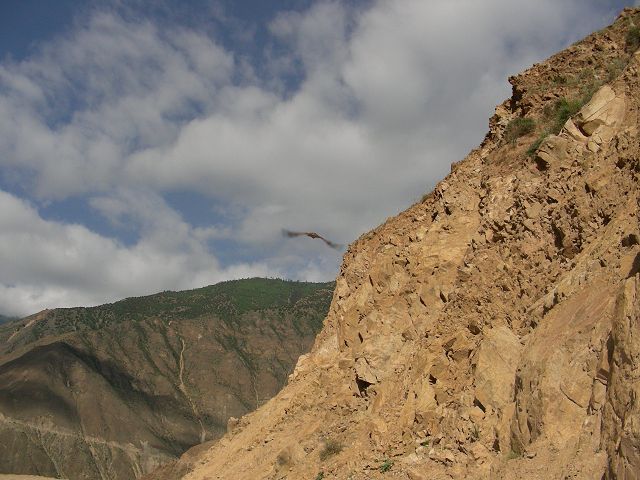DSCN0727.JPG