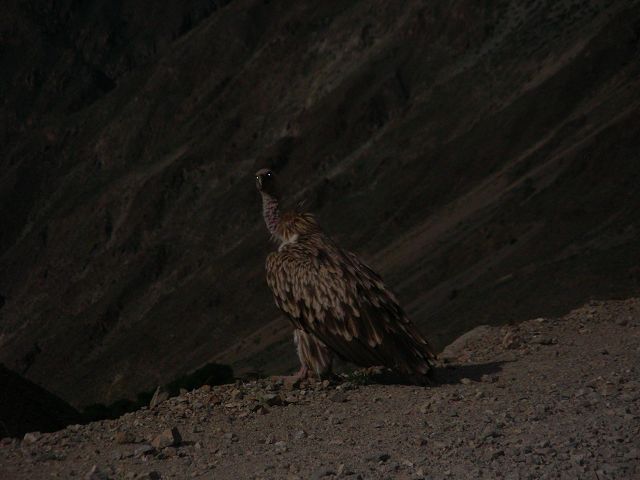 DSCN0728.JPG