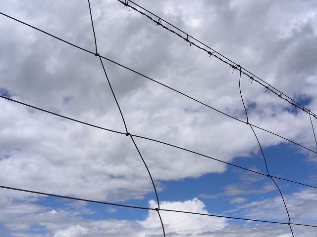 DSCN0444.JPG
