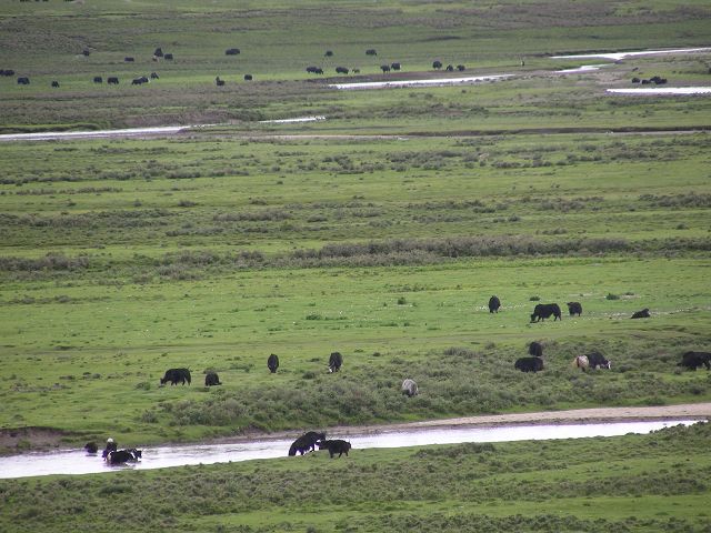 DSCN0449.JPG