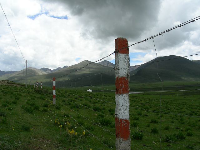 DSCN0446.JPG