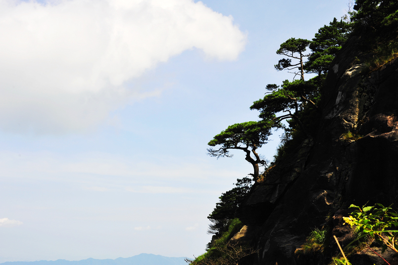 _DSC0334.jpg