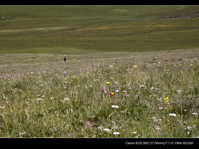 _MG_03651.jpg