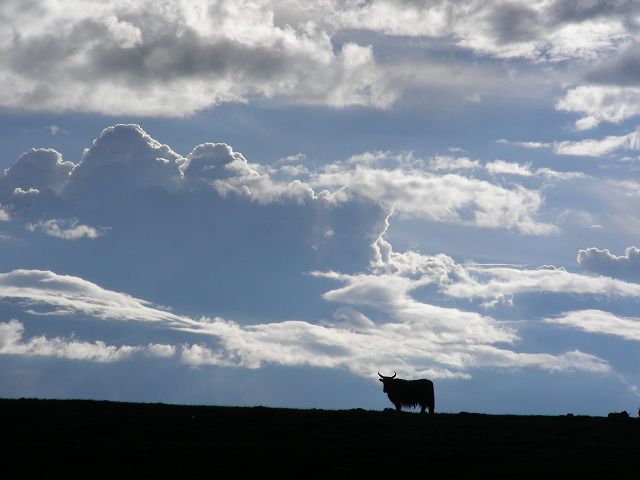 DSCN0536.JPG