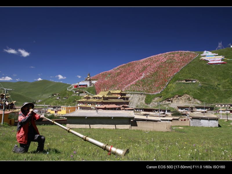 _MG_97951.jpg
