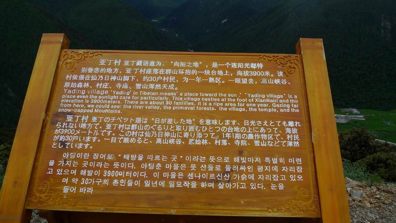 ������С P1010829.JPG