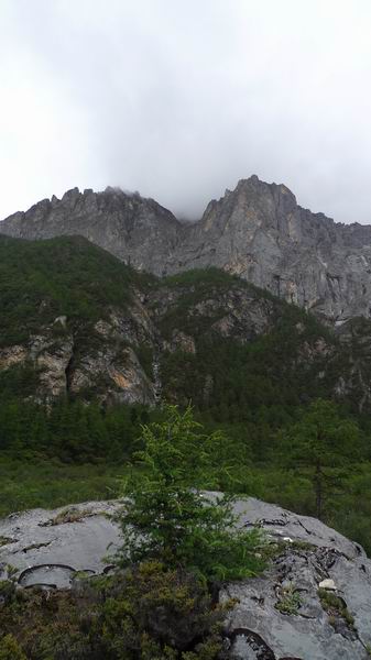 ������С ��ת P1010841.JPG