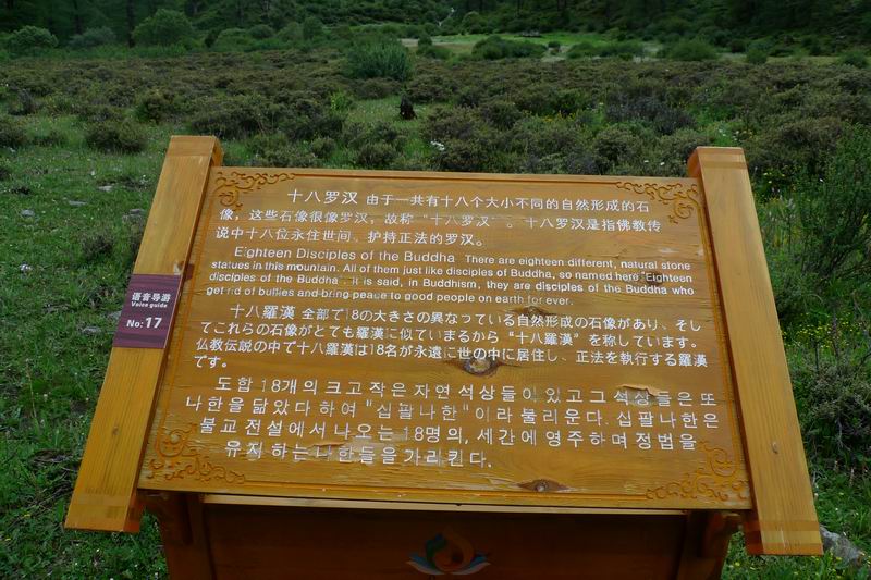 ������С P1010875.JPG
