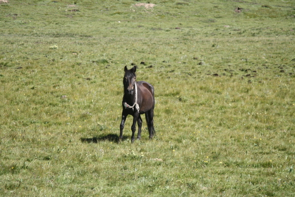 IMG_5562.jpg