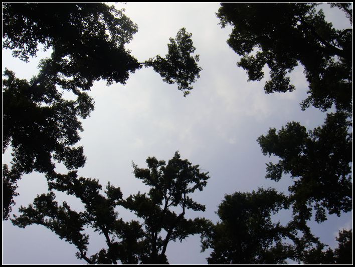 �������.JPG
