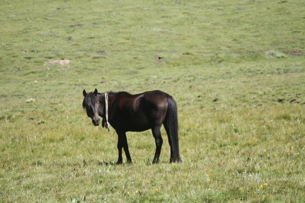 IMG_5573.jpg