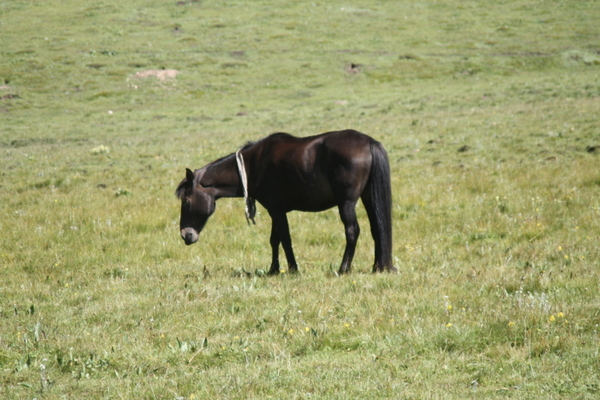 IMG_5574.jpg
