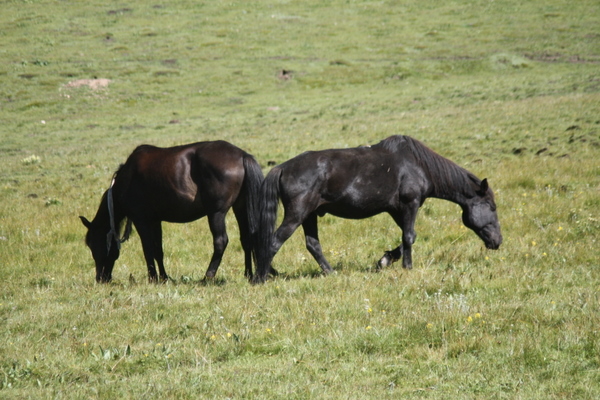 IMG_5578.jpg