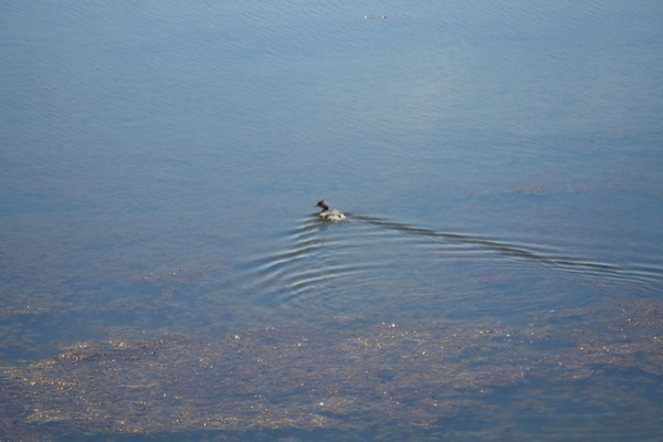 IMG_5640.jpg