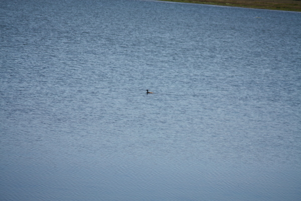 IMG_5644.jpg
