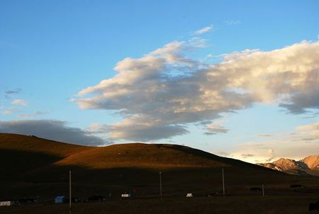 DSC_0553.JPG