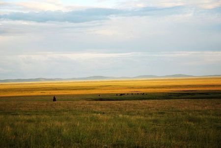 DSC_0550.JPG