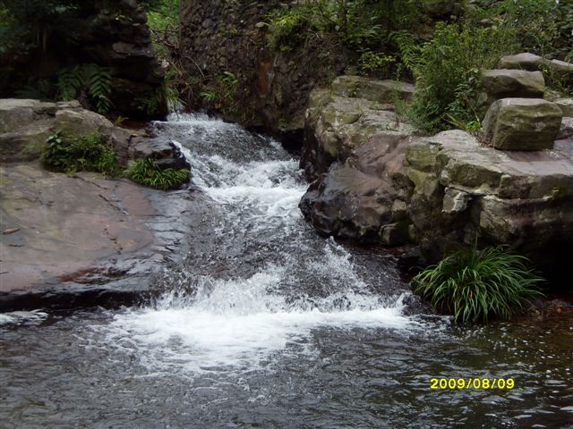 SDC11745.JPG