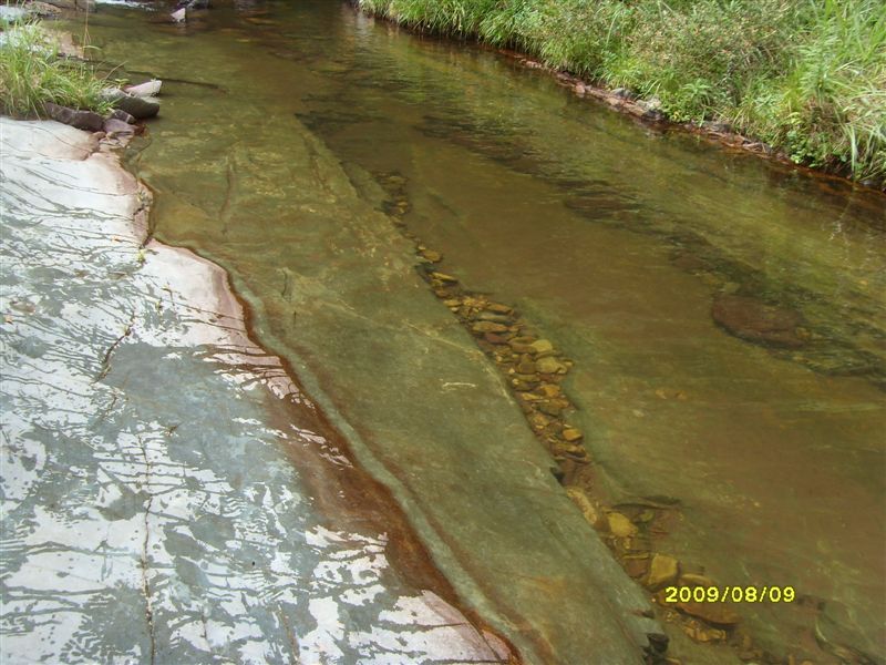 SDC11780.JPG
