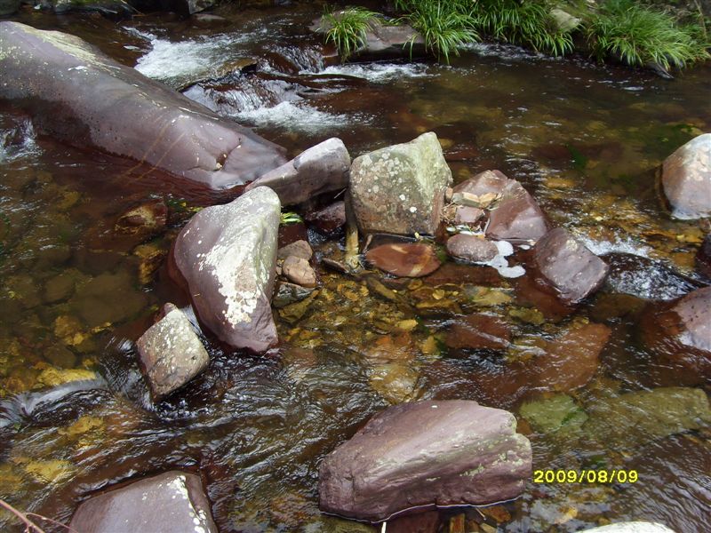 SDC11799.JPG