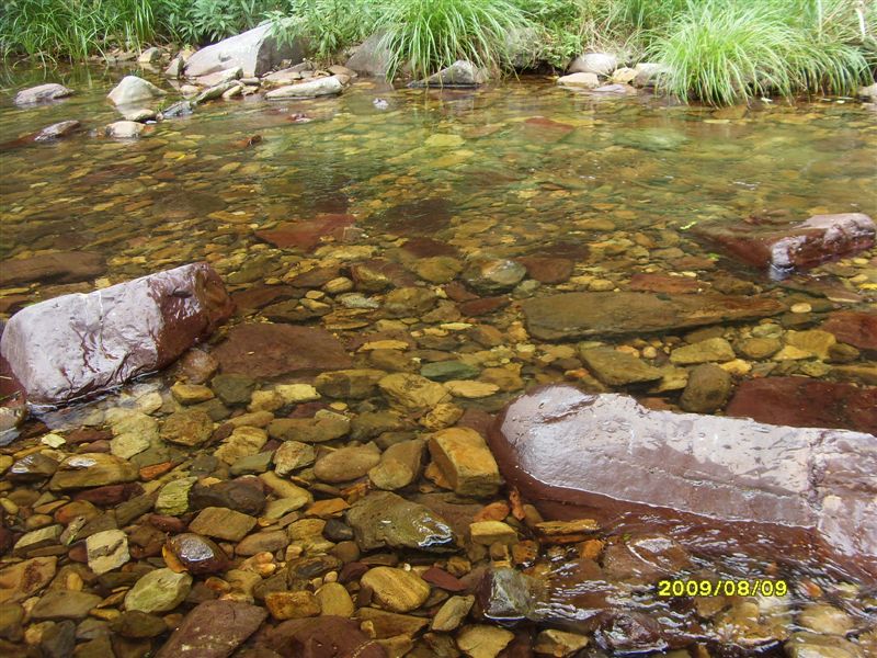 SDC11781.JPG