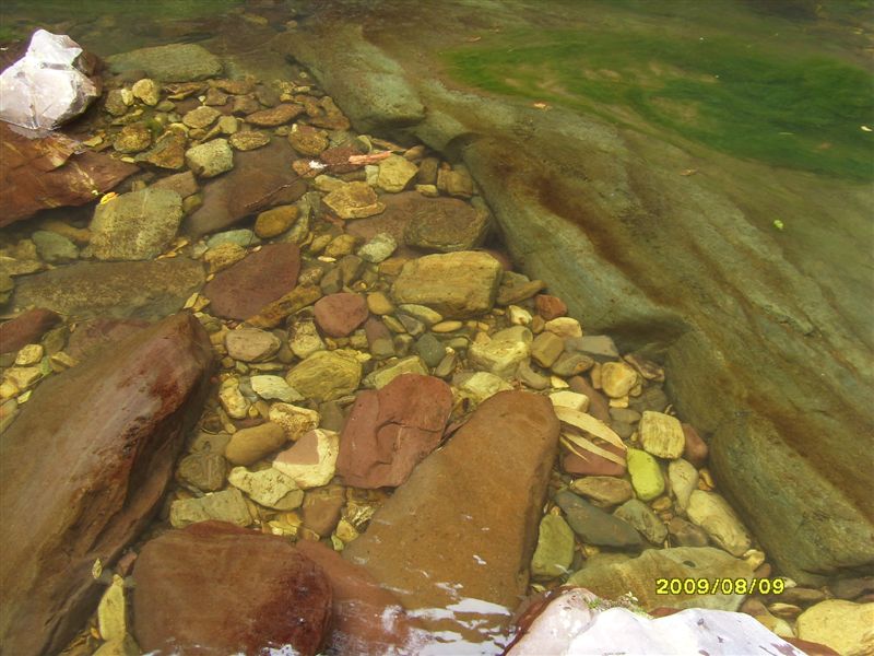 SDC11784.JPG