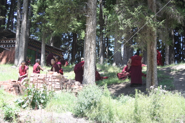 IMG_5889.jpg