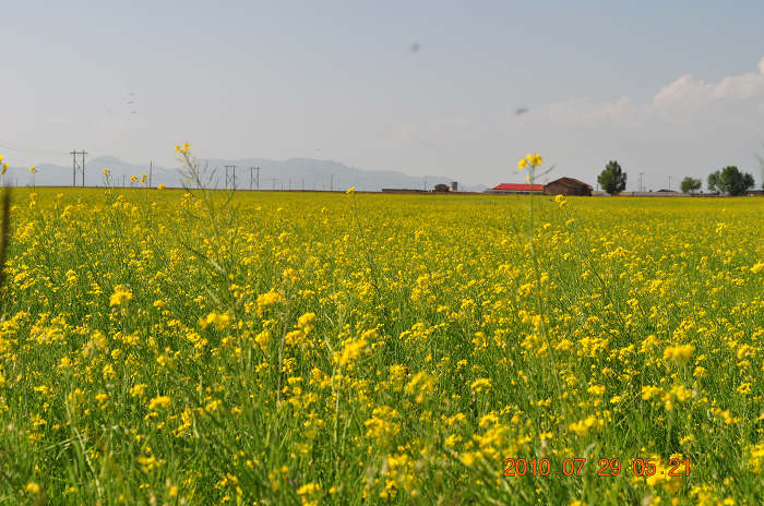 DSC_0153.jpg