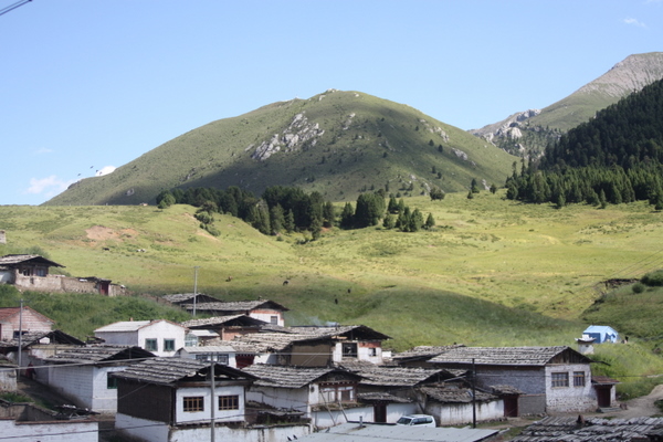 IMG_5915.jpg