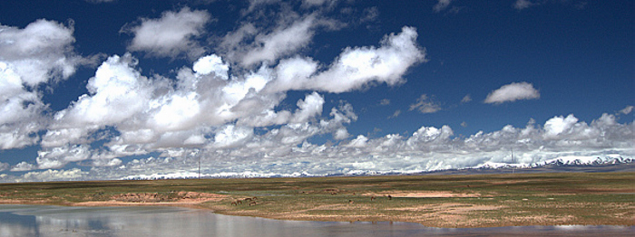 DSC_1868.jpg