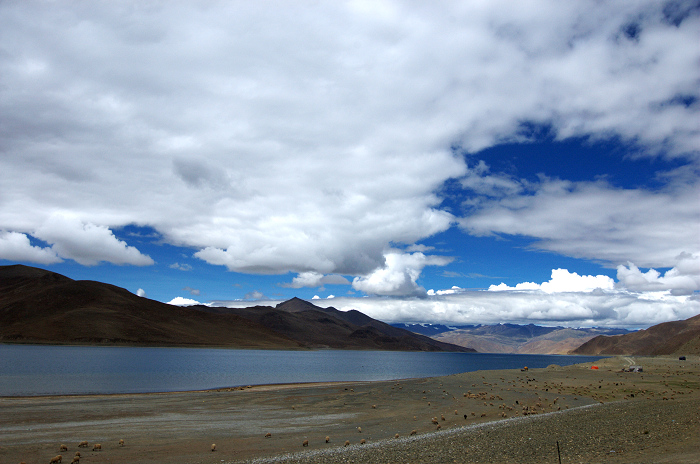 DSC_2508.jpg