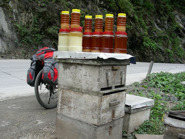 DSCN0017.JPG