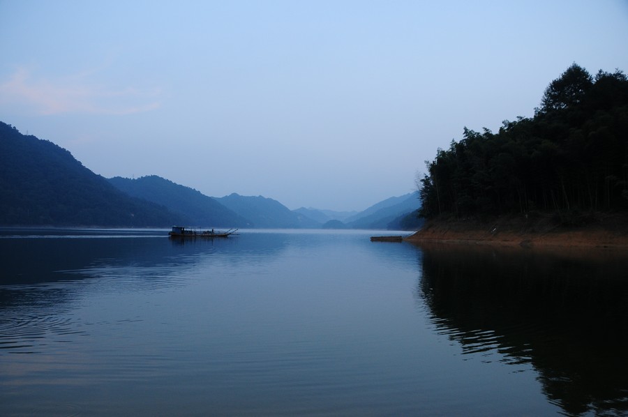 DSC_2010.jpg