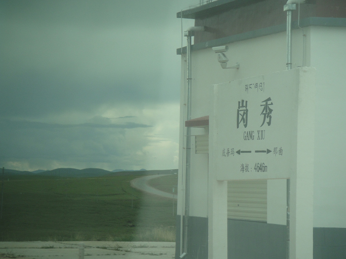 DSC01347.jpg