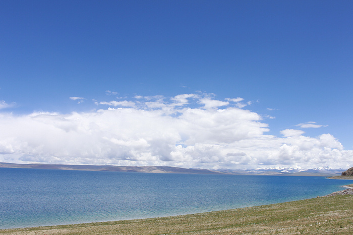 _MG_5382.jpg