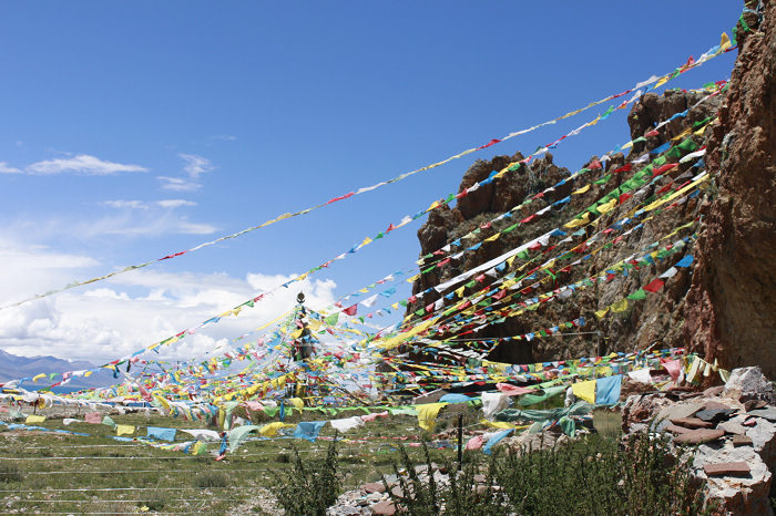 _MG_5423.jpg