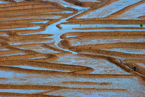 nEO_IMG_DSC_55220014.jpg