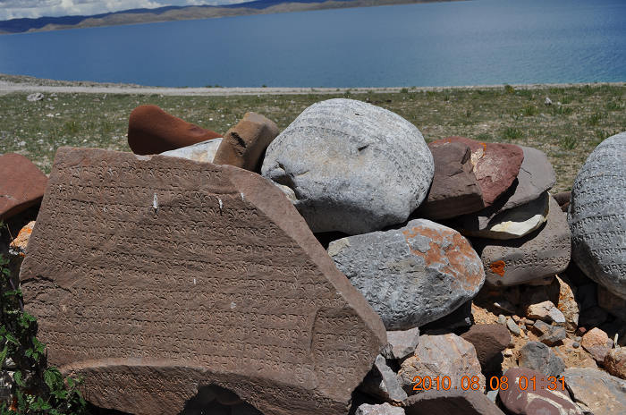 DSC_0635.jpg