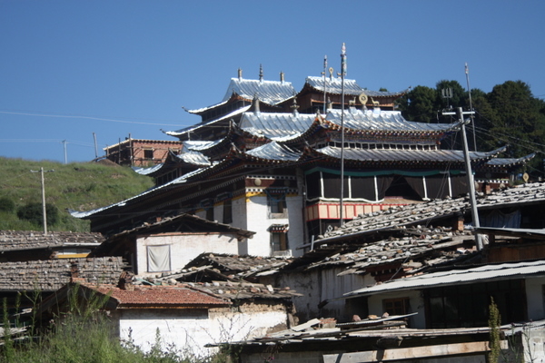 IMG_5775.jpg